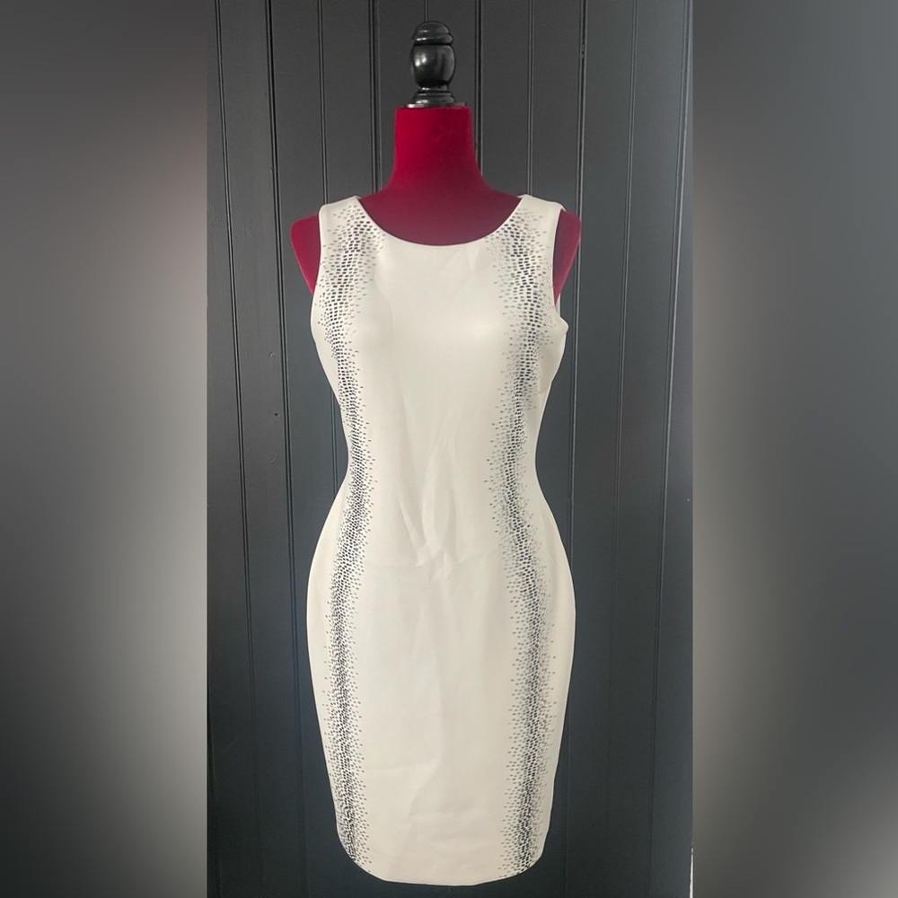 Calvin Klein White Dress with Silver Accents